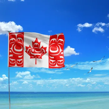 3 X 5 Ft Kanadské Domorodé Kanadské Vlajky Suvenýry Silné Polyesterové Nativní Kanadské Vlajky S Mosazné Průchodky Pro Nativní